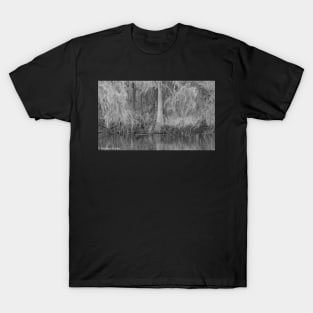 Lettuce Lake State Park--Winter T-Shirt